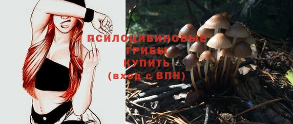 спиды Верхний Тагил