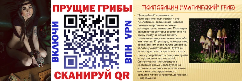 Галлюциногенные грибы мицелий  blacksprut ссылка  Балаково 